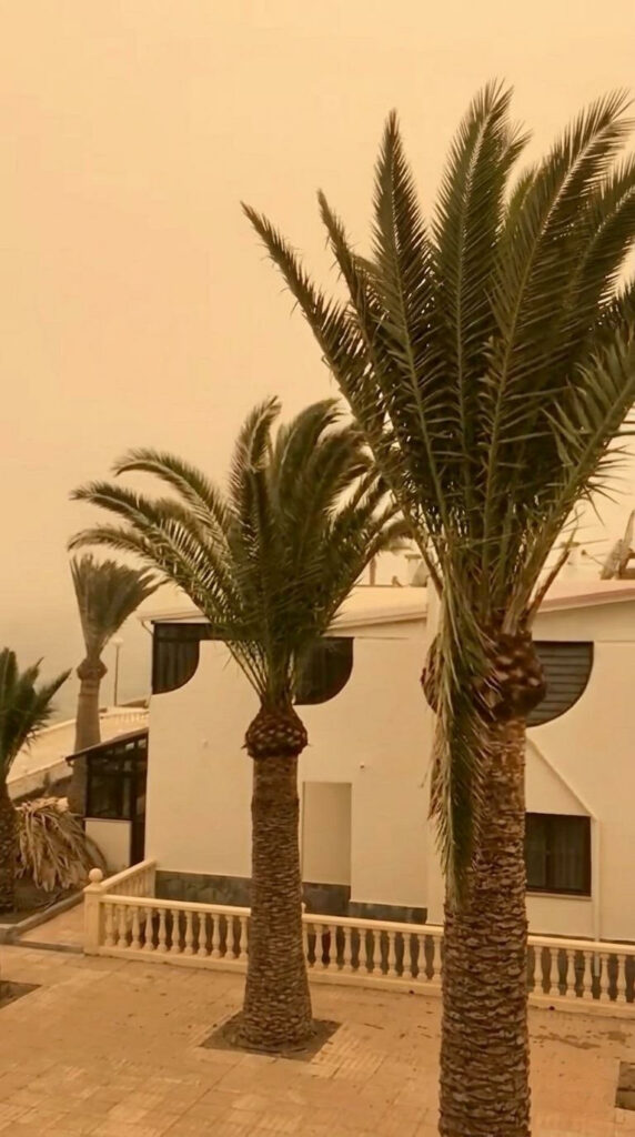 Calima on Gran Canaria – palm trees and a white house in a yellow haze of Saharan dust