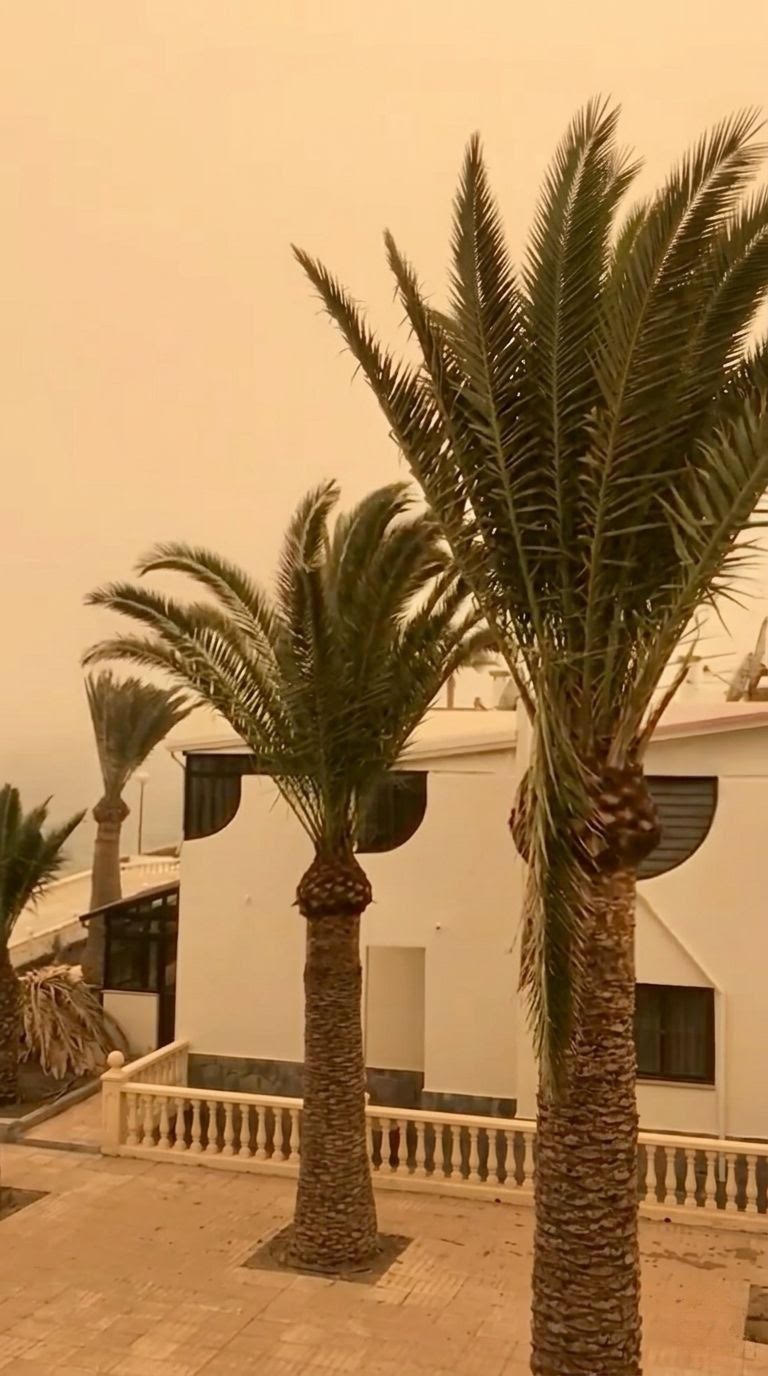 Calima auf Gran Canaria – Palmen und ein weißes Haus im gelben Dunst von Saharastaub