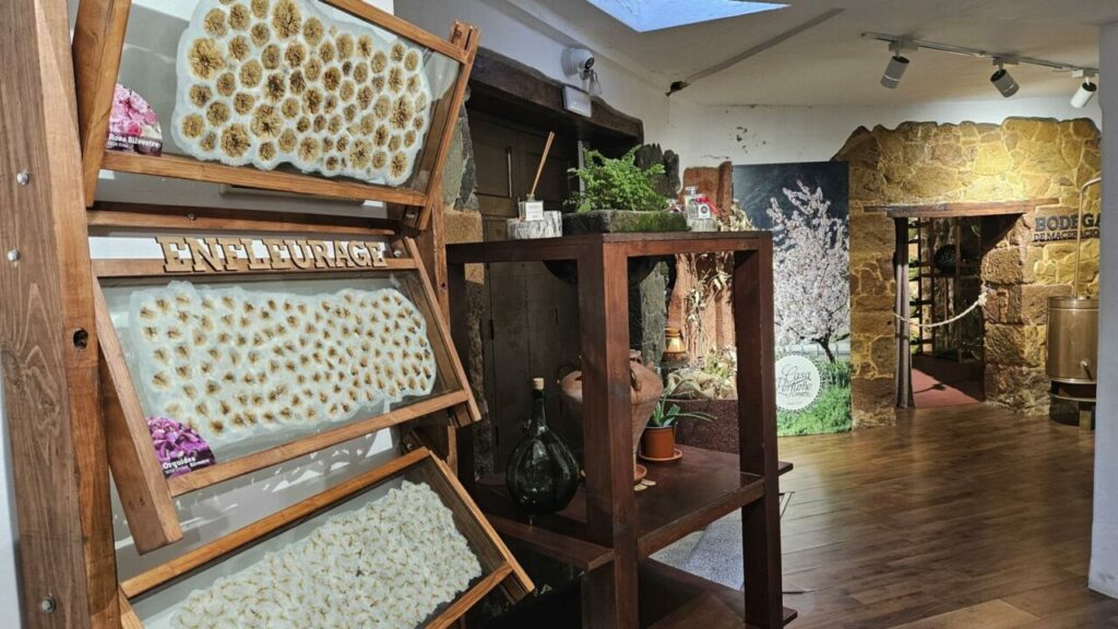 The perfume museum at Casa del Perfume Canario in Teror – a display of the enfleurage method