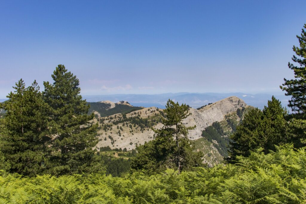 View from the highest mountain, Ipsarion, on Thassos