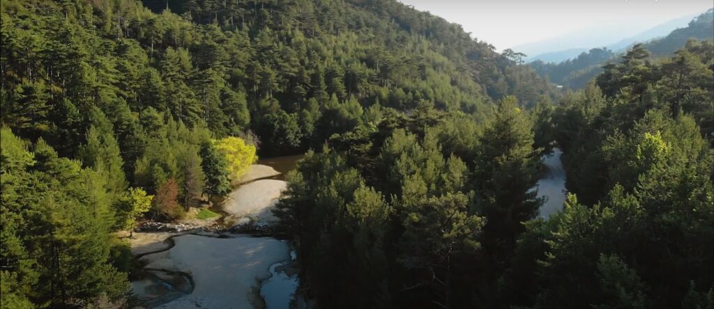 View of Lake Maries on Thassos and the surrounding forests