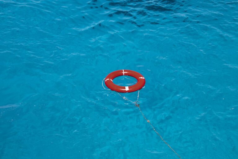A lifebuoy on the sea