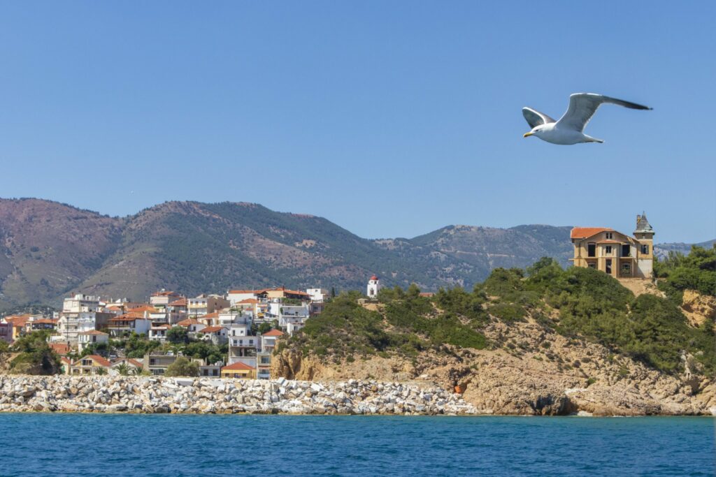 View from a boat of the town of Limenaria and the Palataki building on the hill, with a seagull flying over the sea, Thassos
