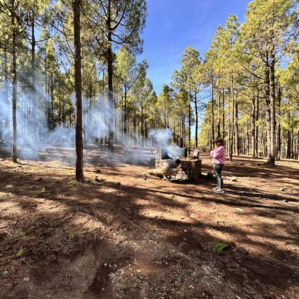 Llanos de la Pez: a barbecue in a pine forest in the mountains of Gran Canaria