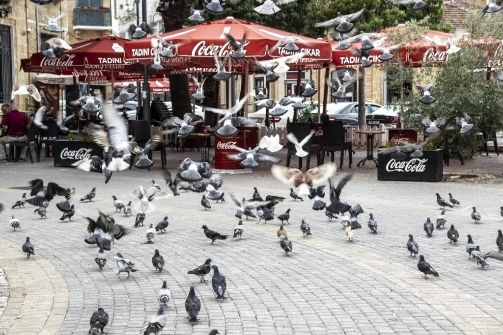 A square in north Nicosia, Cyprus