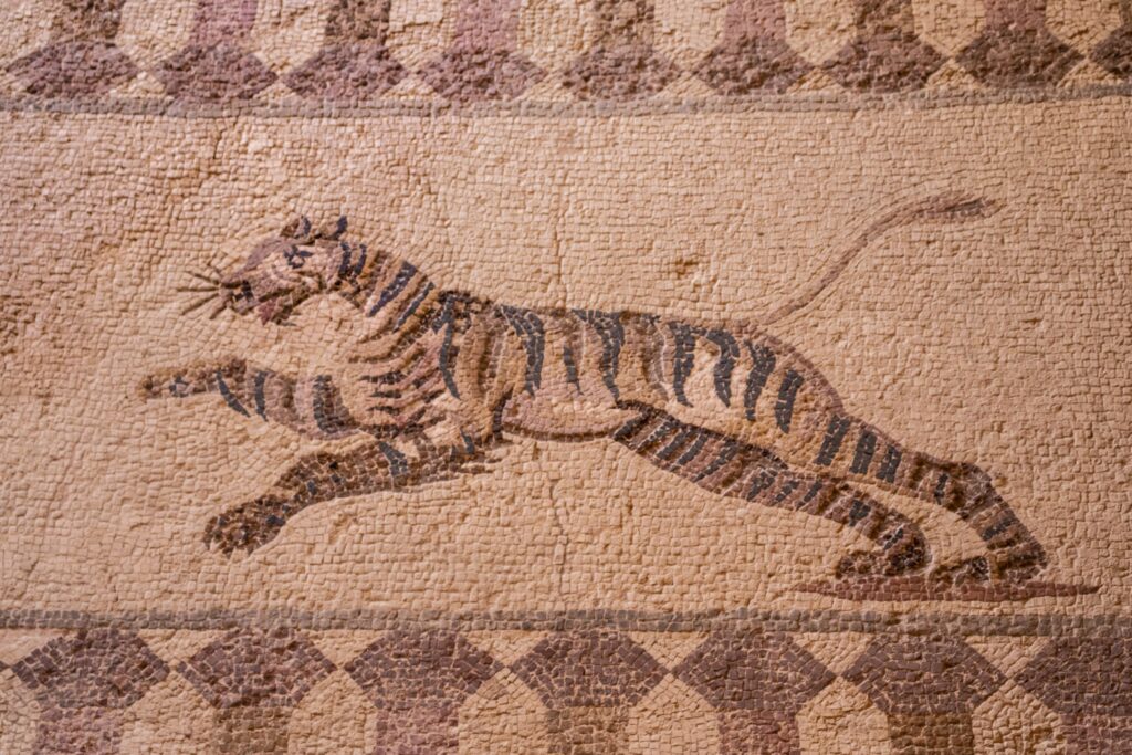 An ancient mosaic in Paphos