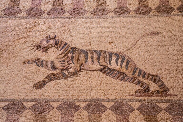 An ancient mosaic in Paphos