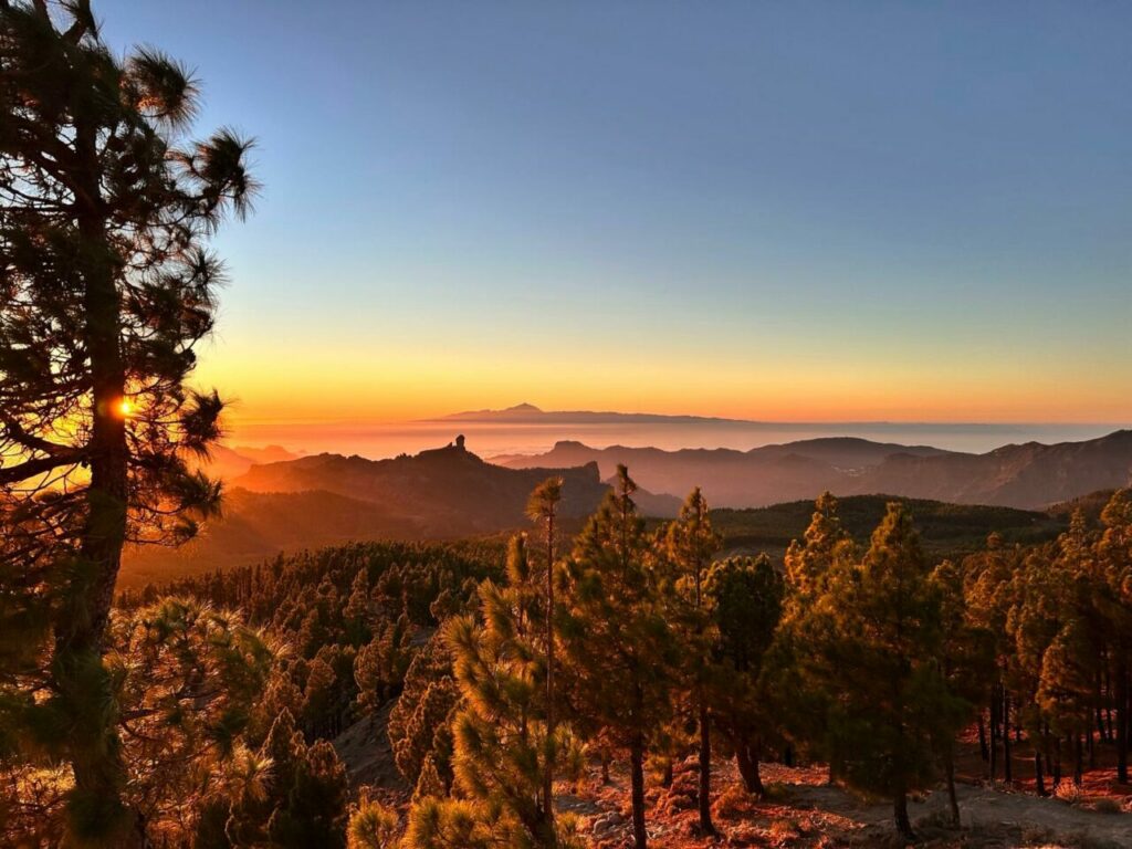 Sonnenuntergang vom Pico de las Nieves: Kiefern, Berge und der Vulkan Teide auf Teneriffa am Horizont