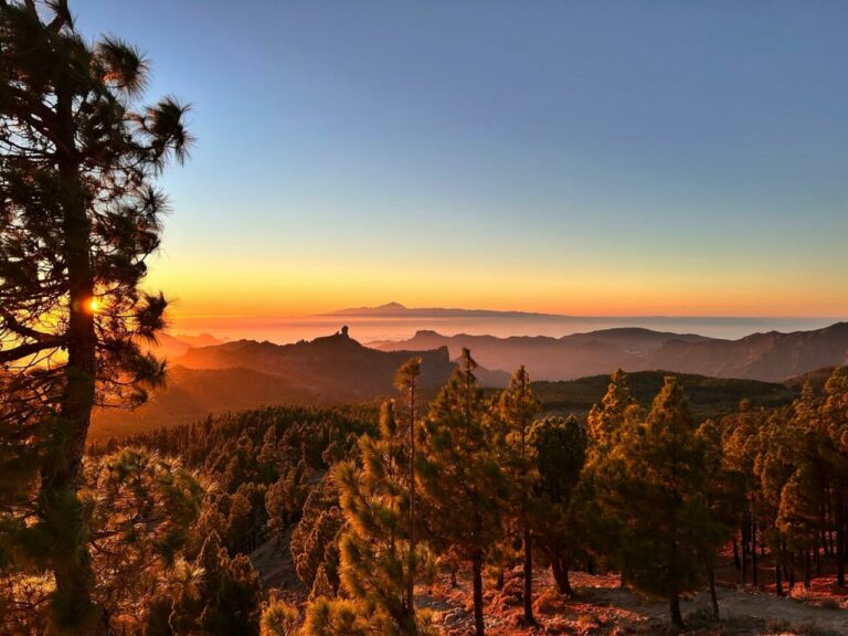 Sonnenuntergang vom Pico de las Nieves: Kiefern, Berge und der Vulkan Teide auf Teneriffa am Horizont