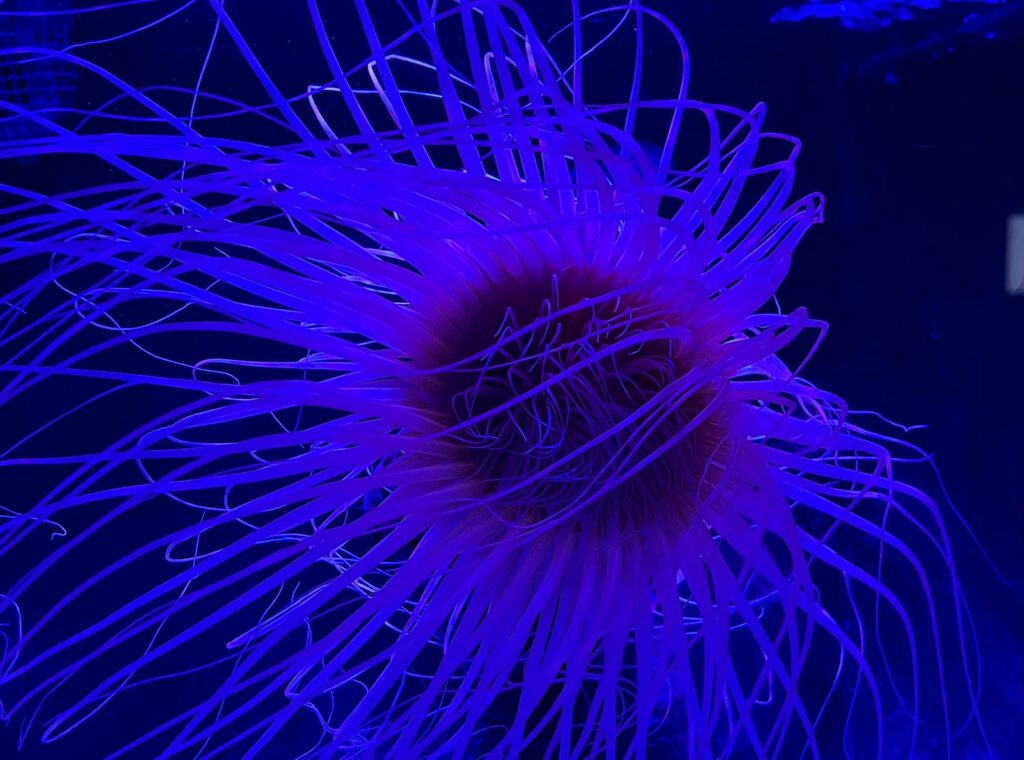 Inside the Poema del Mar aquarium in Las Palmas de Gran Canaria