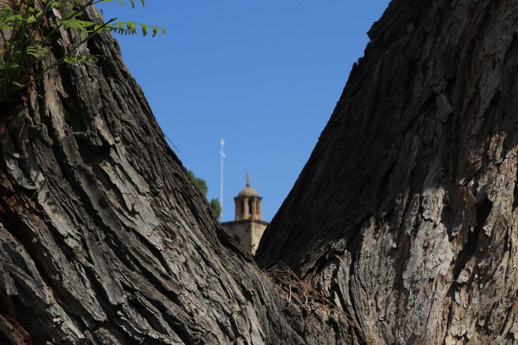 St John's Cathedral behind a tree, south Nicosia, Cyprus