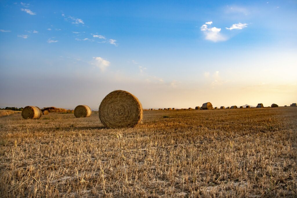 A straw bale in a field in South Cyprus
