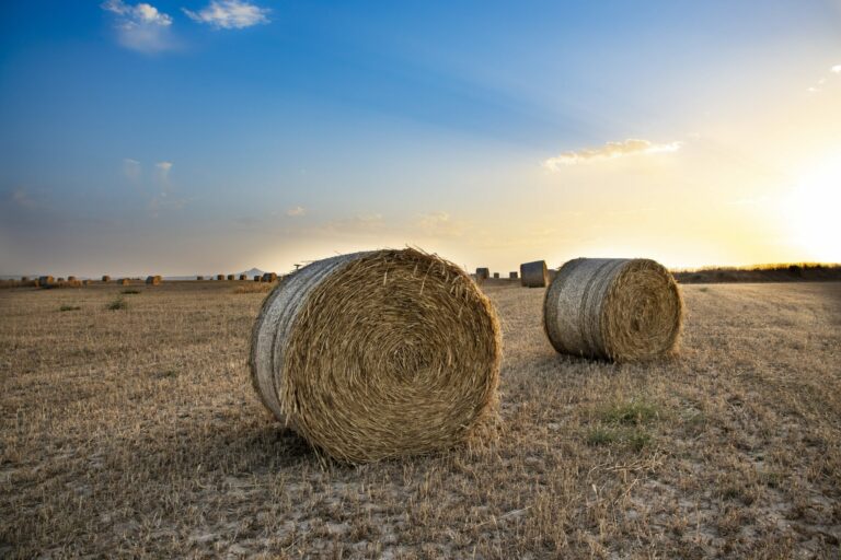 A straw bale in a field in South Cyprus