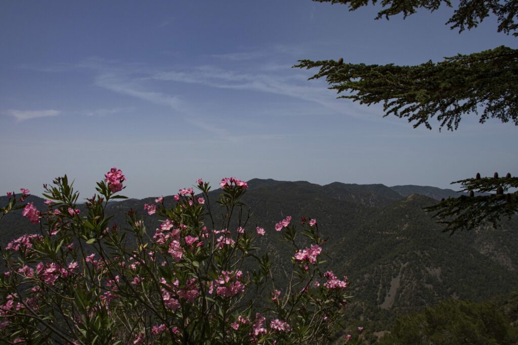 View of the Troodos Mountains, Cyprus
