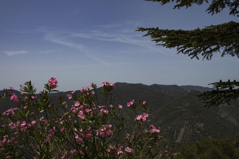 View of the Troodos Mountains, Cyprus
