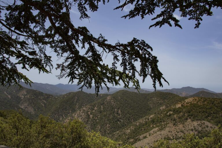 View of the Troodos Mountains, South Cyprus
